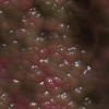 rawfleshtexturetransparent-001