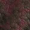 rawfleshtexturetransparent-002