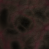 rawfleshtexturetransparent-004